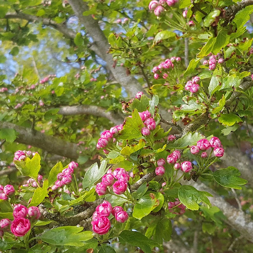 Photo of Oasis Takeaway - 17 Mill St, Driffield YO25 6TN
